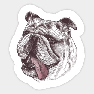 Bulldog Sticker